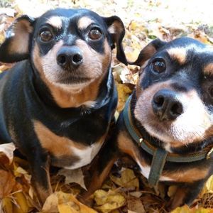 Meet your Posher, Tammy